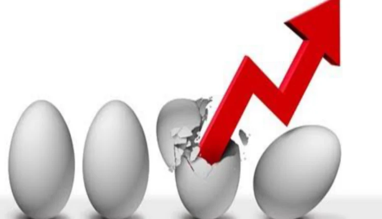 NRI Today - India Tops Global Rankings with Cheapest Egg Prices, Benefitting Consumers