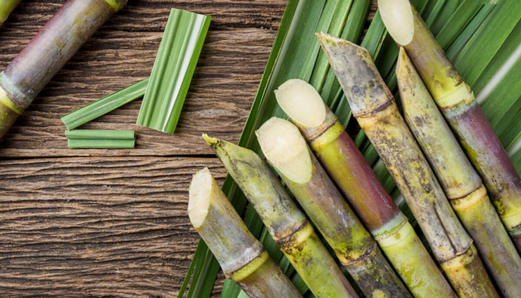 NRI Today - India's Sugar Shortage Raises Concerns: Traders Fear Parallel to Rice Export Ban