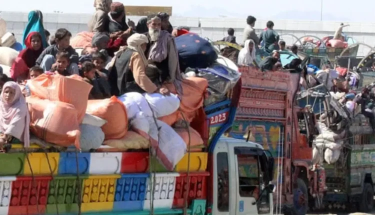 NRI Today - Pakistan: Crackdown against illegal immigrants from Nov 2