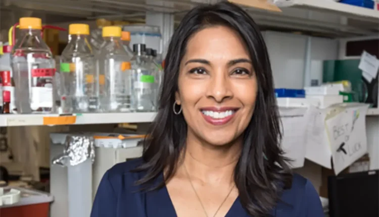 NRI Today - Sangeeta Bhatia: Pioneering the Future of Biomedical Engineering