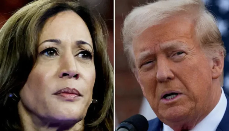 NRI Today - Immigration Concerns Loom as Trump and Harris Campaigns Enter Final Stretch