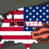NRI Today - H-1B Visa Sponsorships Fall in 2024 as US Firms Shift Hiring Strategies