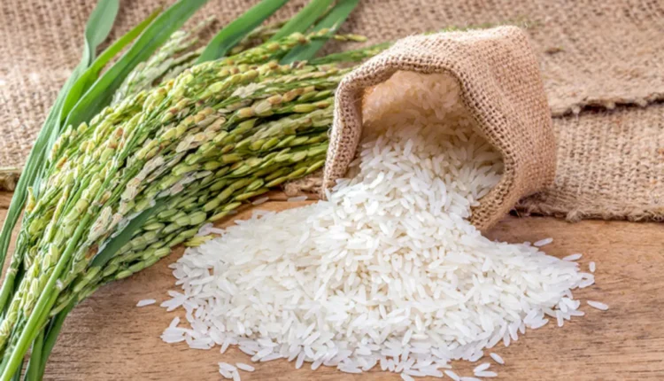 NRI Today - India Rice Exports October 2024 Hit Record $1 Billion Milestone