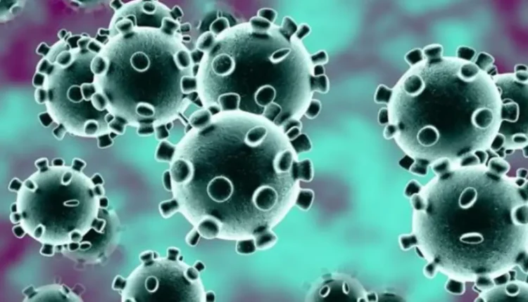 NRI Today - India Confirms HMPV Cases as Virus Spreads Globally