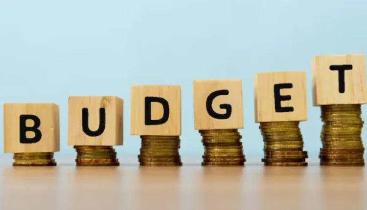 NRI Today - Union Budget 2025-26 What NRIs Expect to Strengthen Their Role in India’s Economy