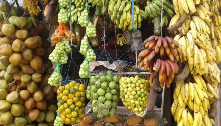 NRI Today - India Urges United States to Ease Rules on Fruit and Vegetable Exports Under New Trade Pact