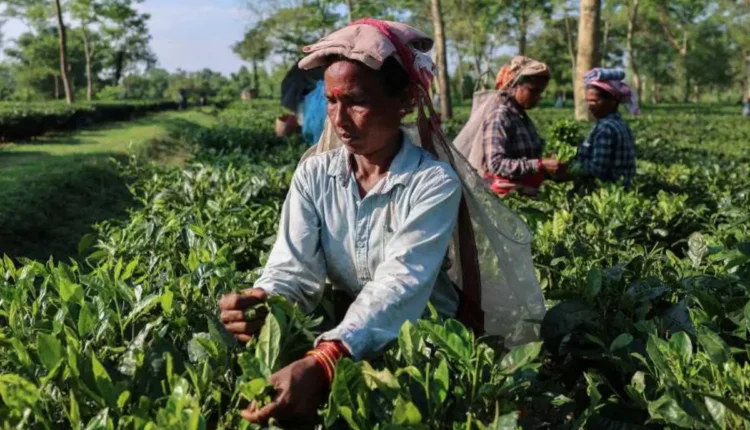 NRI Today - Indian Export Tariff Exemptions Set to Unlock $3B Boost