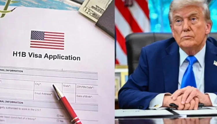 NRI Today - Trump Admits US Needs Foreign Talent Amid H-1B Crackdown