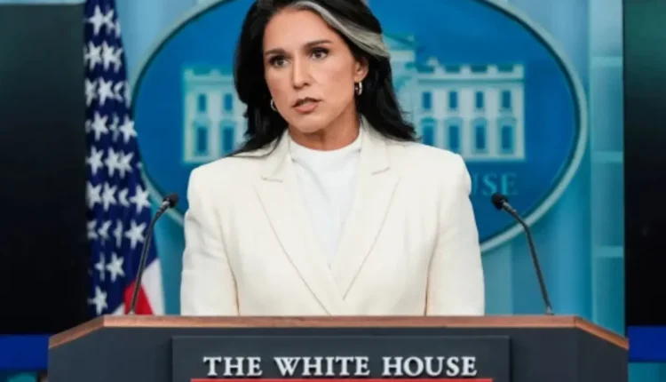 NRI Today - Tulsi Gabbard Warns of Rising Islamist Terrorism in the US